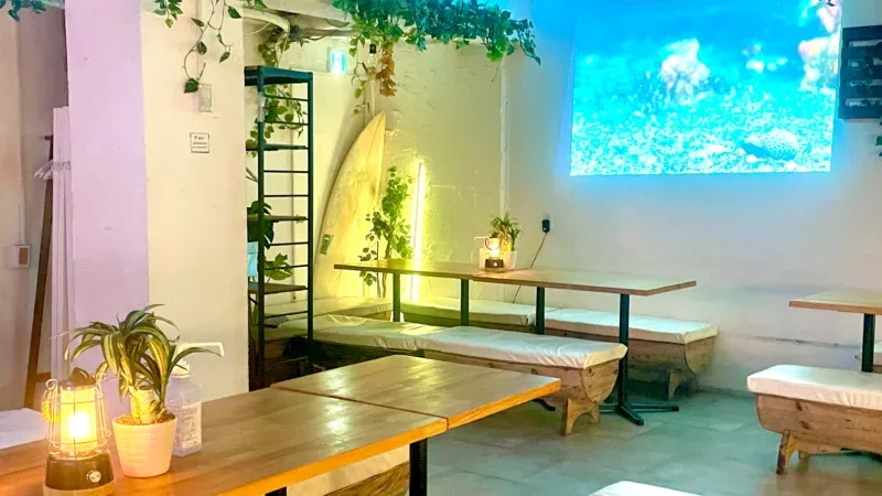 渋谷で20~40名規模の貸切パーティー♪ドライフラワーが可愛いおしゃれな空間。カラオケやゲームも楽しめる!