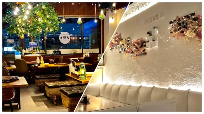 「渋谷ガーデンスペース道玄坂店」「渋谷ピカリエ道玄坂本店」
渋谷道玄坂でプロジェクターが使えるお店
東京×持込みBBQももちろん対応!
